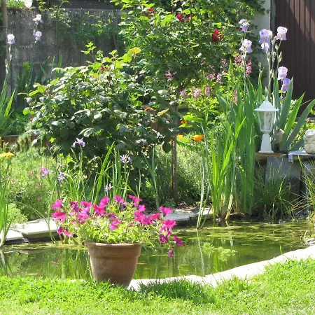 Bed and breakfast Bleu Agapanthe Saumur