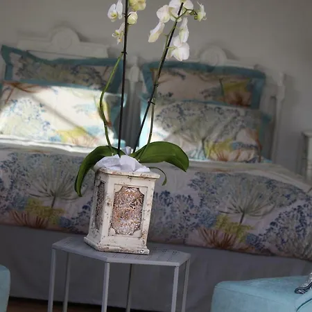 Bleu Agapanthe Bed and breakfast