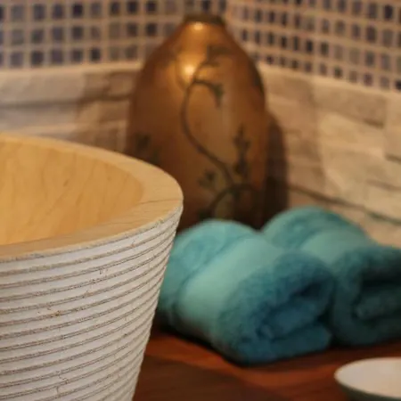 Bed and breakfast Bleu Agapanthe Saumur