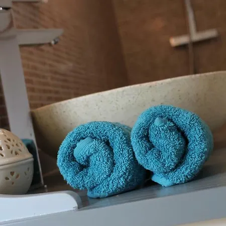 Bed and breakfast Bleu Agapanthe Saumur